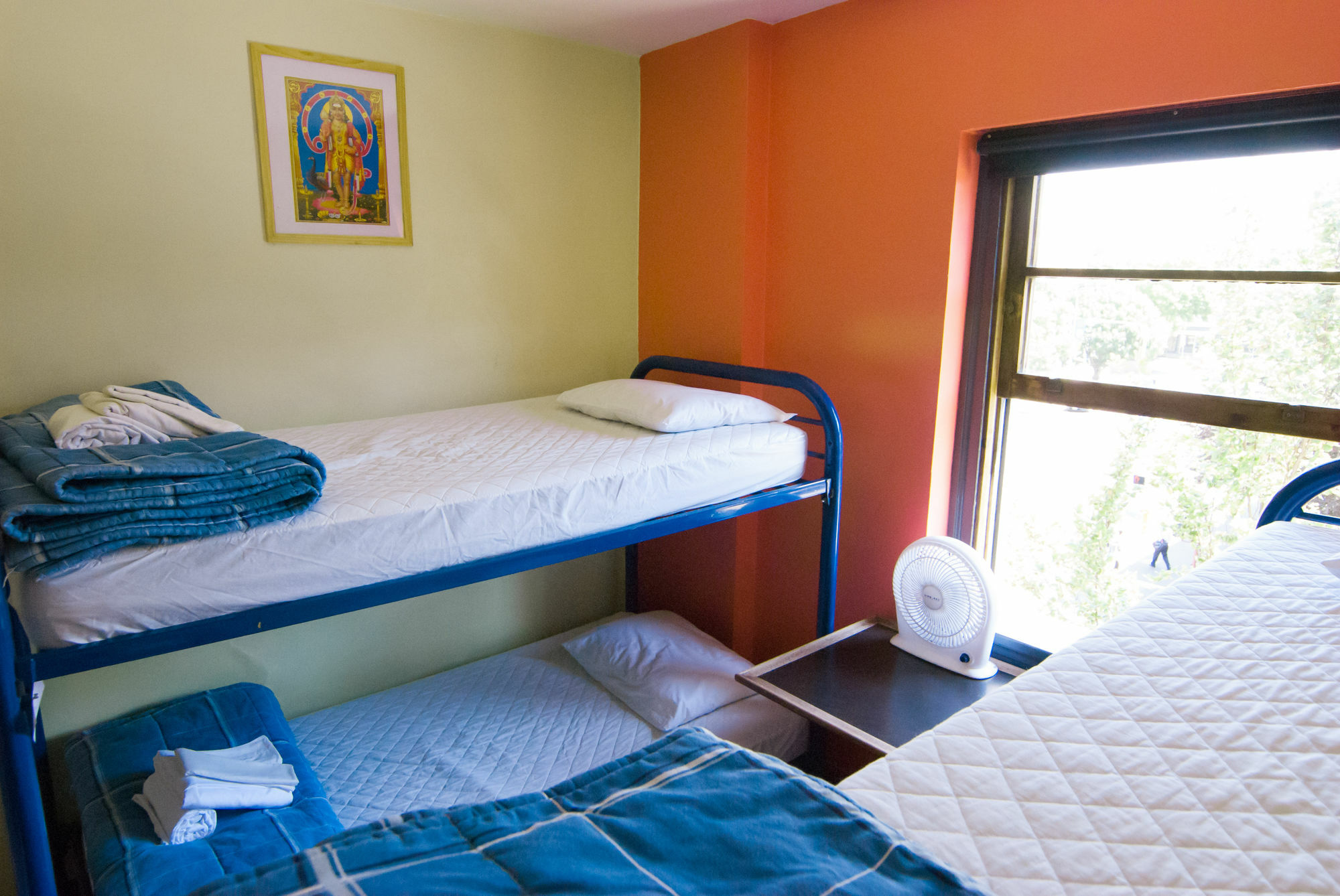 Ocean Island | Backpackers | *